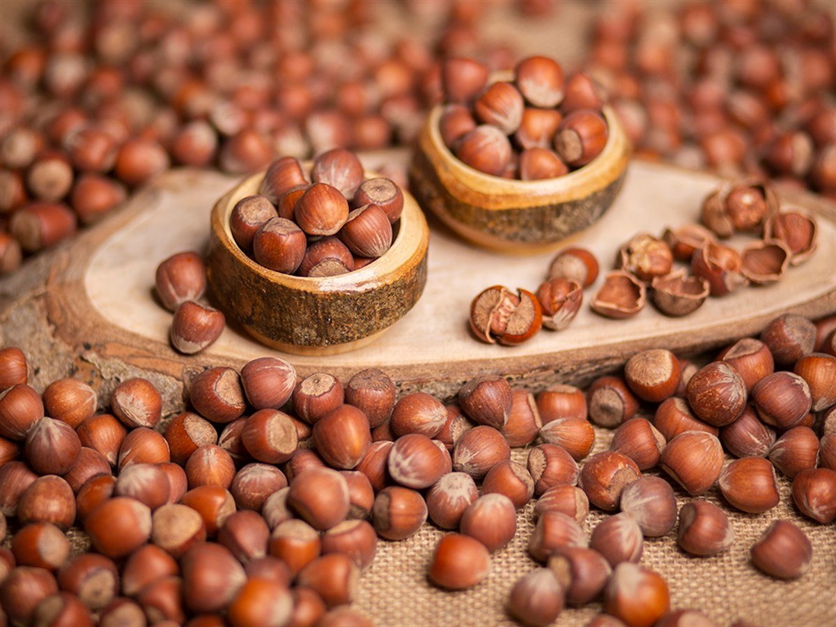 Kavrulmuş Fındık - 5 KG